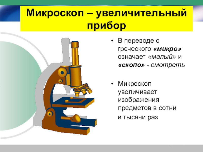 Устройство увеличительных приборов 5 класс биология презентация