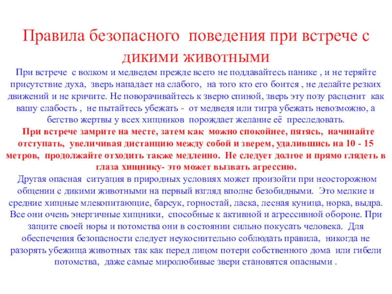 При встрече или при встречи. Правила поведения при встрече с дикими животными. Памятка как вести себя при встрече с дикими животными. Правила безопасного поведения при встрече с дикими животными. Правила поведения при встрече.