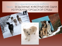 Исследовательская работаТема : Бездомные животные как одна из проблем городской среды