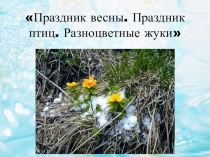 Презентация по изобразительному искусству на тему Праздник весны , птиц и жучков (1 класс)