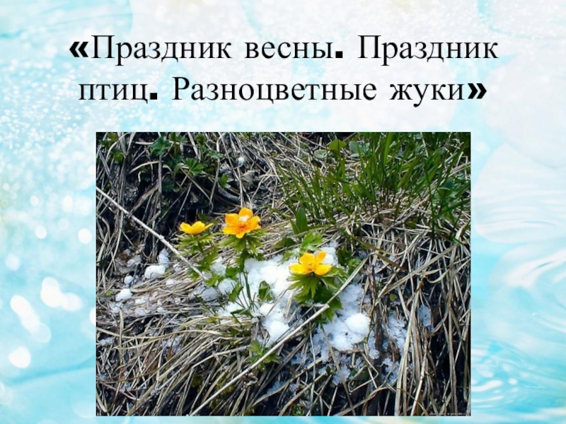 Праздник весны разноцветные жуки изо 1 класс презентация