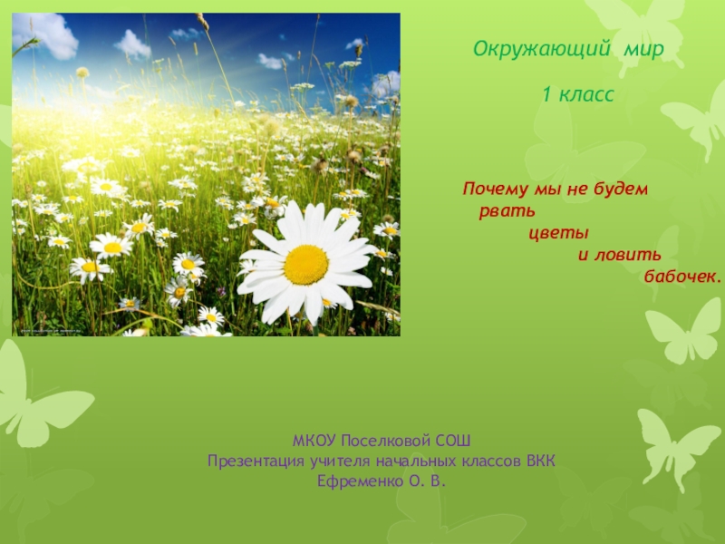 Презентация почему не будем рвать цветы и ловить бабочек презентация 1 класс школа россии