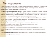 Тип хордовые презентация к подготовке к ЕНТ