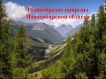 Презентация Разнообразие природы Новосибирской области