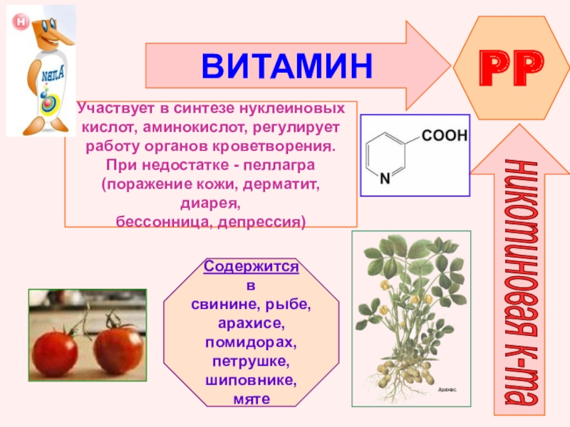 Проект по химии 10 класс витамины