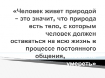 Проект на тему Влияние автомобильной дороги на экологию школьного двора