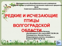 Презентация по биологии на тему Редкие и исчезающие птицы Волгоградской области