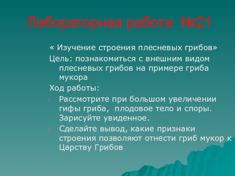 Грибы лабораторная. Лабораторная работа № 1 «изучение строения плесневых грибов».. Изучение строения плесневых грибов лабораторная работа 5 класс. Лаьораторнаярабоиа 2 изучение строения плесневого гриба 6 класс.