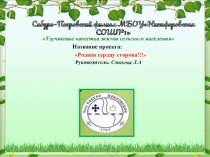 Социальный проект Моя страна