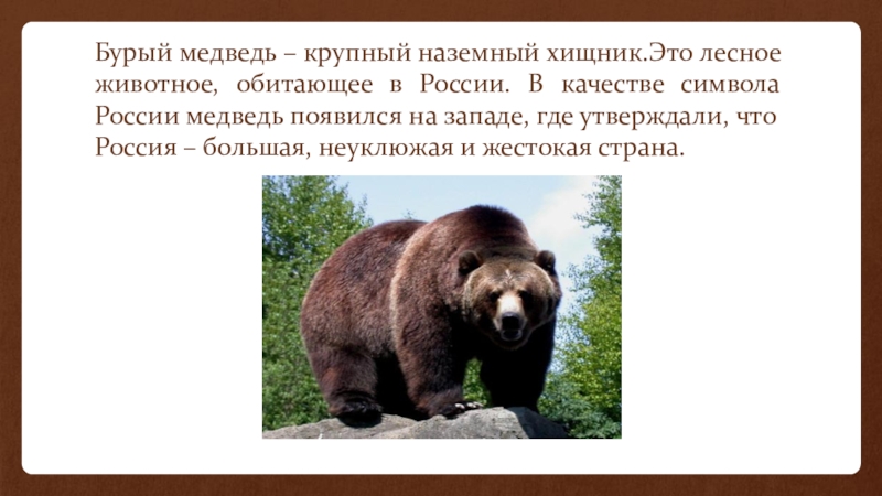 Краткое содержание медведя. Бурый медведь символ России. Медведь для презентации. Рассказ про бурого медведя. Медведь символ России презентация.