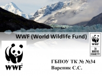 Презентация на Английском языке: WWF- World Wildlife Fund- организация защиты природы.