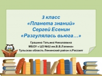 Презентация по литературеРазгулялась вьюга. С.Есенин