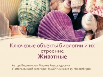 Многообразие организмов Ключевые объекты зоологии