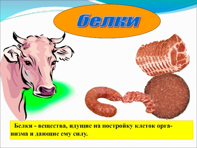 Наше питание 3 класс. Белки это 3 класс окружающий мир. Наше питание 3 класс окружающий мир. Наше питание 3 класс окружающий мир презентация. Наше питание презентация 3 класс окружающий.