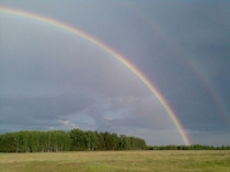 Презентация по окружающему миру