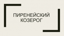 Презентация Пиренейский козерог 11 класс