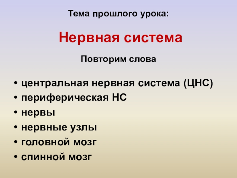 Биология 8 класс рефлексы презентация 8 класс