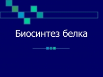 Презентация по теме Биосинтез белка