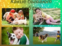 Презентация по окружающему миру в старшей группе Какие бывают собаки?