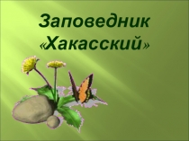 Презентация к классному часу Тайны Малого Абакана