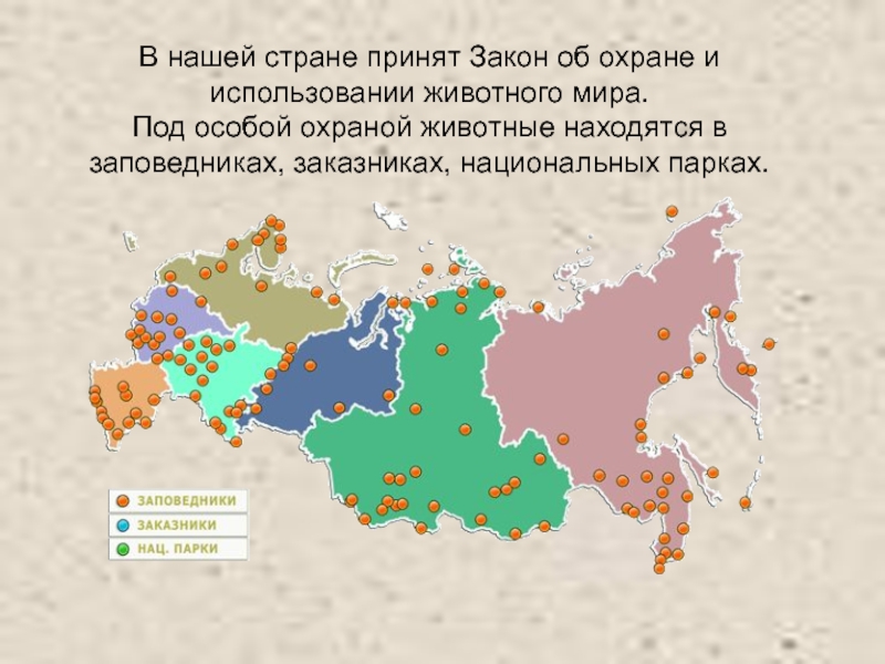 Презентация на тему использование и охрана животного мира