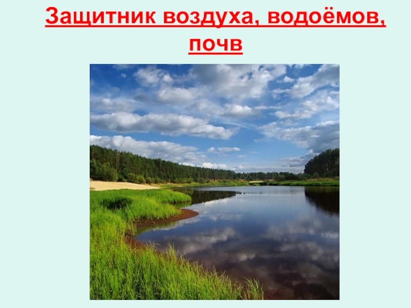 Водоемы почва. Защитник воздуха водоёмов и почв. Лес защитник воздуха водоемов и почв. Защитник воздуха водоёмов и почв рисунок. Защитник воздуха водоёмов и почв рисунок символ.