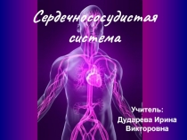 Презентация по биологии на тему Строение сердечно-сосудистой системы человека (8 класс)