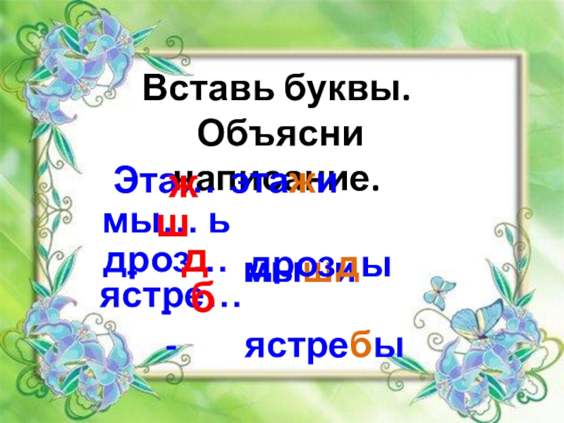 Изложение этажи в лесу 2 класс презентация