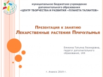 Презентация к занятию Лекарственные растения Причулымья к общеразвивающей программе Родная старина