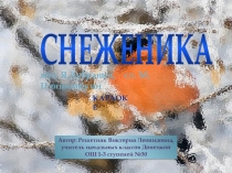 Внеклассное мероприятие. Караоке Снеженика (1-4 кл.)