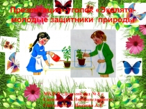 Презентация по экологии на тему  Эколята дошколята