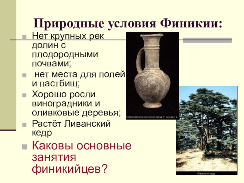 Природные условия история 5 класс. Климат древней Финикии. Природно-климатические условия Финикии. Финикия климат и занятия. Природные условия Финикии.