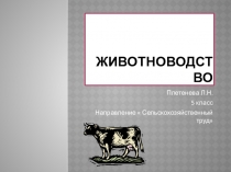 Презентация по технологии на тему  Животноводство 5 класс.