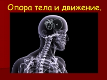 Презентация по окружающему миру на тему Опора тела и движение