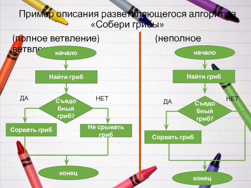 Как на блок схемах изображается полное ветвление неполное ветвление