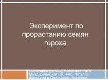 Презентации учащихся 6 класса