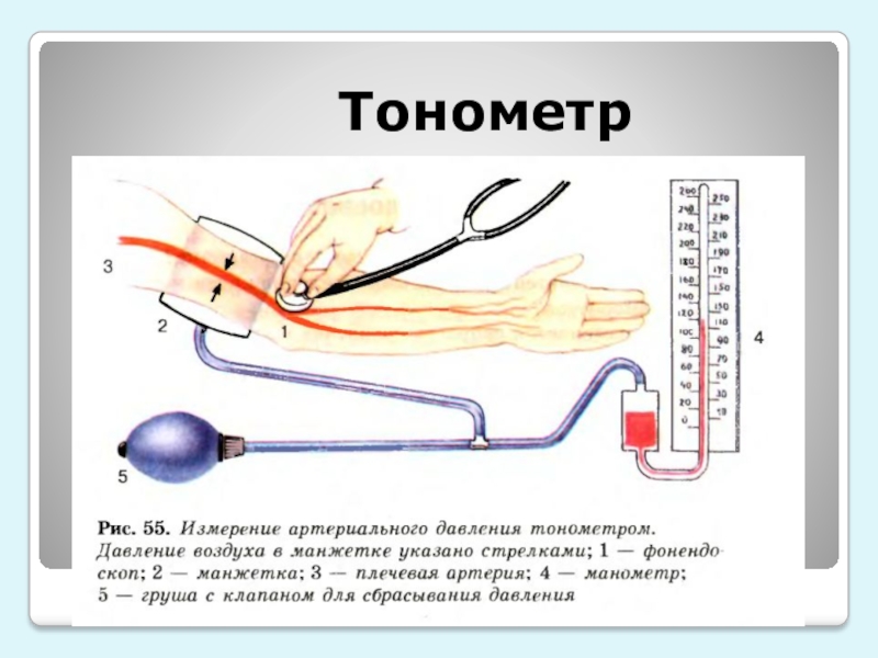 Презентация по тонометрам