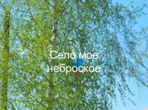 Презентация Моя малая родина