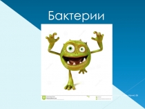 Презентация по биологии на тему Бактерии: строение