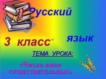 Презентация по русскому языку  Число имен существительных