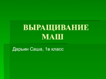 Презентация к проектной деятельности