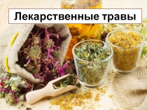 Лекарственные травы