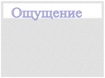 Ощущения