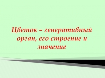Презентация по биологии на тему Цветок - как генеративный орган