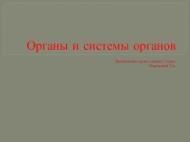 Презентация по биологии на тему Органы и органы систем