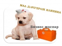 Презентация Бизнес-жоспар Мал дәрігерлік клиника