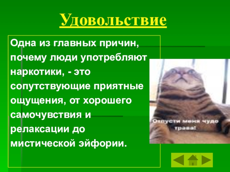 Влияние социальной среды на развитие и здоровье человека обж 6 класс презентация