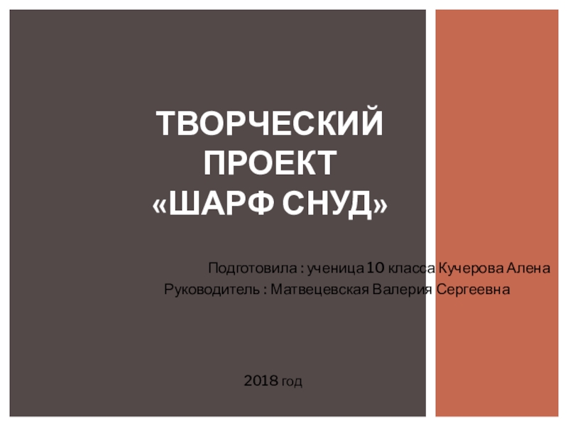 Презентация Презентация творческого проекта по технологии Снуд