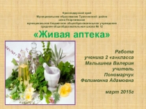 Презентация с викториной по теме Лекарственные растения