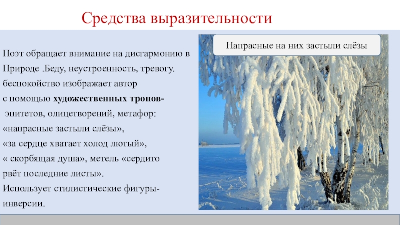 Средства выразительности учись у дуба у березы. Учись у них у дуба у березы размер. Учись у них у дуба у березы размер стиха.